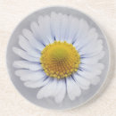 Search for daisy coasters Background