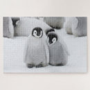 Recherche de poussins puzzles Faune