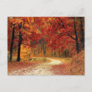 Search for autumn landscapes postcards Red