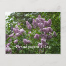 Search for flowering plants postcards Photograph