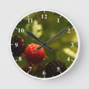 Search for medium round clocks Nature