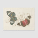 Search for butterfly tissue paper Antique