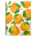 Search for clementine notebooks Citrus