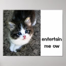 Recherche de chat drôle posters Unique