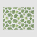 Search for leaf plant tissue paper Palm