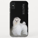 Search for malteses iphone cases White