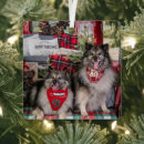 Search for keeshond ornaments Dogs