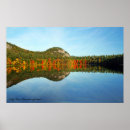 Search for echo posters New hampshire