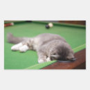 Search for animal images stickers Photography