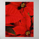 Search for traditional christmas posters Red
