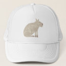 Search for capybara hats Cute