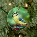 Search for bird ornaments Pet