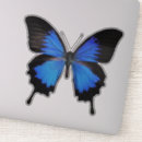 Search for wing of love electronics Butterfly