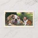 Search for dog breeder business cards Puppies