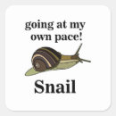 Search for snails shell stickers Gastropod