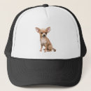 Search for chihuahua dogs baseball hats Animal