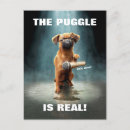 Search for puggle postcards Pet