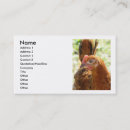 Recherche de poulet rouge cartes visite Rhode