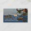 Search for cruise business cards Tropical