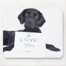 Search for veterinary mousepads Photography