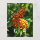 Search for fritillary vertical postcards Insect