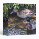 Search for ducks binders Birds