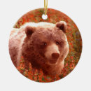 Search for bears ornaments Cub