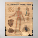 Search for heart chart posters Vintage