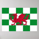 Search for celtic dragon art Red