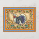 Search for fantasy birds postcards Funny