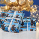 Search for fowl gift wrap Cute