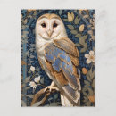 Search for bird lover postcards Owl