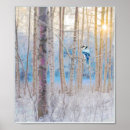 Search for bird tree art Trees