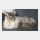 Search for maine coon stickers Animal
