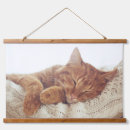 Search for bedroom tapestries Cute