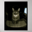 Search for funny computer photography Instagram