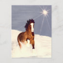 Search for running vertical postcards Equine