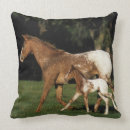 Search for equestrian pillows Mare and foal