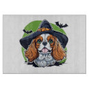 Search for witch cookware Halloween