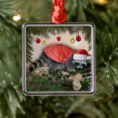 Search for racoon ornaments Wildlife