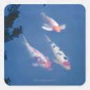 Search for japanese koi carp stickers Pond