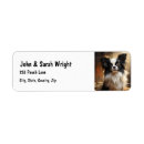 Search for papillon return address labels Animal
