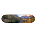 Recherche de réflexion skateboards Arbre