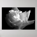 Recherche de séduisant posters Élégant