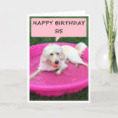 Search for from dog to owner birthday cards For her