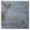 Search for hare tiles White rabbits