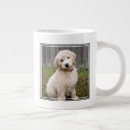 Search for goldendoodle puppy mugs Cute