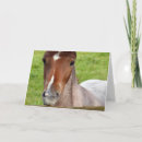 Search for cob cards Horse