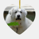 Search for great pyrenees ornaments Pet