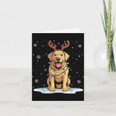 Search for yellow labrador christmas cards Dog